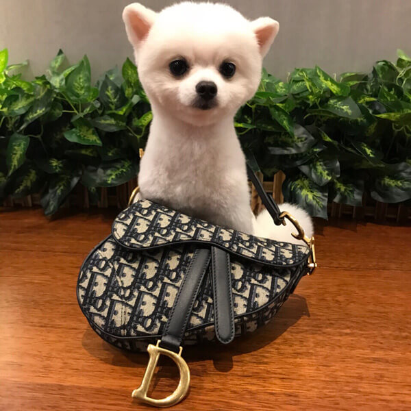 注目商品ディオール重ね刺繍 バック サドル ウエスト ポーチ ロゴ モノグラム 新作 CD M0446CTZQ M928